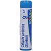 Boiron Calcarea Carb Ost 9ch Gl