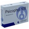 BIOGROUP SPA SOCIETA BENEFIT Psicophyt Remedy 10b 4 Tubi 1,2 G