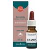 ERBA VITA GROUP SPA Lavanda Olio Essenziale 10 Ml