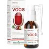 ERBA VITA GROUP SPA Sana Voce Spray Gola 30 Ml