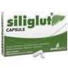 SHEDIR PHARMA SRL UNIPERSONALE Siliglut 20 Capsule