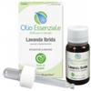 ERBORISTERIA MAGENTINA SRL Lavanda Ibrida Olio Essenziale 10 Ml