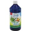 LIFE 120 ITALIA SRL Aloe Spice 1000 Ml