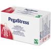 SCHWABE PHARMA ITALIA SRL Pegastress 14 Stick Pack