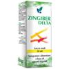 PHARMEXTRACTA SPA Zingiber Delta Soluzione Idroalcolica 50 Ml
