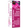OPTIMA NATURALS SRL Echinacea Estratto Fluido Forte 50 Ml