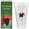 ERBAMEA SRL Vite Rossa Gambe Gel 125 Ml