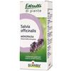 BOIRON SRL Salvia Offic Boiron Estratto Idroalcolico 60 Ml