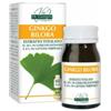 VIS GIORGINI SER-VIS Ginkgo Biloba Estratto Titolato 60 Pastiglie