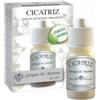 DR.GIORGINI SER-VIS SRL Cicatriz Polvere 10 G