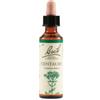 SCHWABE PHARMA ITALIA SRL Centaury Bach Orig 20 Ml