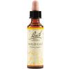 SCHWABE PHARMA ITALIA SRL Wild Oat Bach Orig 20 Ml