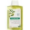 KLORANE (PIERRE FABRE IT. SPA) Klorane Shampoo Cedro 200 Ml