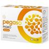 SCHWABE PHARMA ITALIA SRL Pegaso Axidophilus Junior 14 Bustine Da 1,5 G