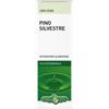 ERBA VITA GROUP SPA Pino Silvestre Olio Essenziale 10 Ml