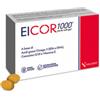 NALKEIN ITALIA SRL Eicor 1000 30 Softgel
