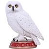 Nemesis Now Wizard's Familiar Owl Figurina, Bianco, 10 cm