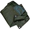 VIRIDEX TELONE OCCHIELLATO VERDE 5 X 8 METRI 1PZ
