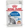 Royal Canin Indoor Sterilised in salsa cibo umido per gatti 1 scatola (12 x 85 g)