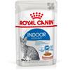 Royal Canin Indoor Sterilised in salsa cibo umido per gatti 2 scatole (24 x 85 g)