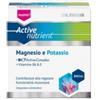 NATURWAREN ITALIA SRL Theiss Active Nutrient Mg/k 20 Bustine