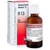 DR.RECKEWEG & CO. GMBH Reckeweg R13 Gocce 22 Ml