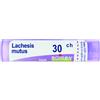 BOIRON Srl LACHESIS MUTUS 30CH GRANULI