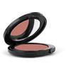 POLIFARMA BENESSERE Srl Ombretto in Polvere Compatto 04 Smokey Free Age by 1a Classe