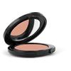 POLIFARMA BENESSERE Srl Ombretto in Polvere Compatto 02 Smokey Free Age by 1a Classe