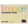 Antalis Coloraction Antalis 838A 120S 50-Carta per fotocopie, 250 fogli in formato DIN A4, 120 g/m², Dune, colore: panna