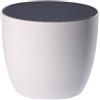 Erba Coprivaso milano cm 20x18.5 bianco