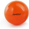 TONKEY ACTIVE LIFE - Palla Pilates 53 cm - Fitball Grande per Yoga, Fitness, GAG, Fisioterapia e Riabilitazione - Attrezzi e Accessori per Allenamento in Casa e in Palestra, Ideale per la Schiena
