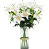 Olrla Giglio artificiale lungo 60 cm, 8 fiori fioriti 4 gemme stampa 3D fiori finti di giglio tigre, per matrimoni, casa, hotel, ufficio, decorazione (champagne sfumato)
