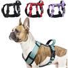 LiebeDD Pettorina Cane Taglia Piccola Antifuga - Imbracatura Anti Tiro Regolabile per Bulldog Francese, Addestramento e Easy Walk, Verde, S