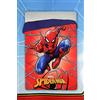 Viterbo Biancheria Trapunta Piumone Invernale Disney Letto Singolo Una Piazza 170x250CM Kuvee7025 (Spiderman)