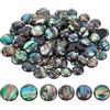 BENECREAT 30 PCS Perle di Conchiglia di Abalone Naturale Perline Piatte