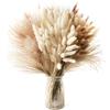 Larber 185 Pezzi Naturale Seccato Pampas Erba Decor Alta Pompa Floreale Reed Erba Coniglietto Code Seccate Boho Fiore Arrangement per Tavolo Matrimonio Soggiorno Camera da Letto Artigianato Decor, 42CM
