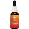 NATUR SRL Dynamis 30 Ml 1 Pezzo