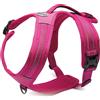 RECORD ACTION ALPI PETTORINA FUCSIA M 60
