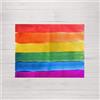 BL BELUM BELUM | Confezione 2 Tovagliette Antimacchia Modello: Pride 100 - Misura Prodotto: 50 x 40 - Colore: Multicolore - Tessuto: 100% cotone resinato Antimacchia (Tatto non plastificato), 300 g.