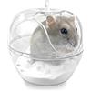 Andiker Hamster Vasca da bagno in plastica trasparente, piccolo contenitore per animali domestici, con pala per criceti, gerbil, cincillà, orso di seta dorato (S)