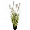 Flair Flower 150999 N Pampa Erba in Vaso, plastica, Naturale, 90 x 28 x 28 cm