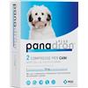 CHANELLE PHARMAC.MANUFACT.LTD Panadron Plus 2 Compresse