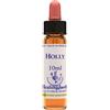 NATUR Srl HOLLY ESS 10ML INGL HERBS