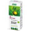 Salus Haus SEDANO SUCCO 200 ML BIO
