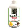 Union Bio TRAUMA PLUS GEL SOLLIEVO IMMEDIATO 500 ML