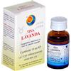 Herboplanet QSA LAVANDA GOCCE 10 ML
