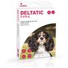 VETPHARMA ANIMAL HEALTH S.L. DELTATIC Collare Medicato per Cani 0-5Kg 2 Pezzi