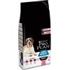 NESTLE' PURINA PETCARE IT. SpA PP DD L AD ROBUST SENS SKI14KG