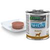 RUSSO MANGIMI SpA Vet Life Diabetic Dog - 300GR